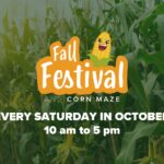 FALL FESTIVAL @