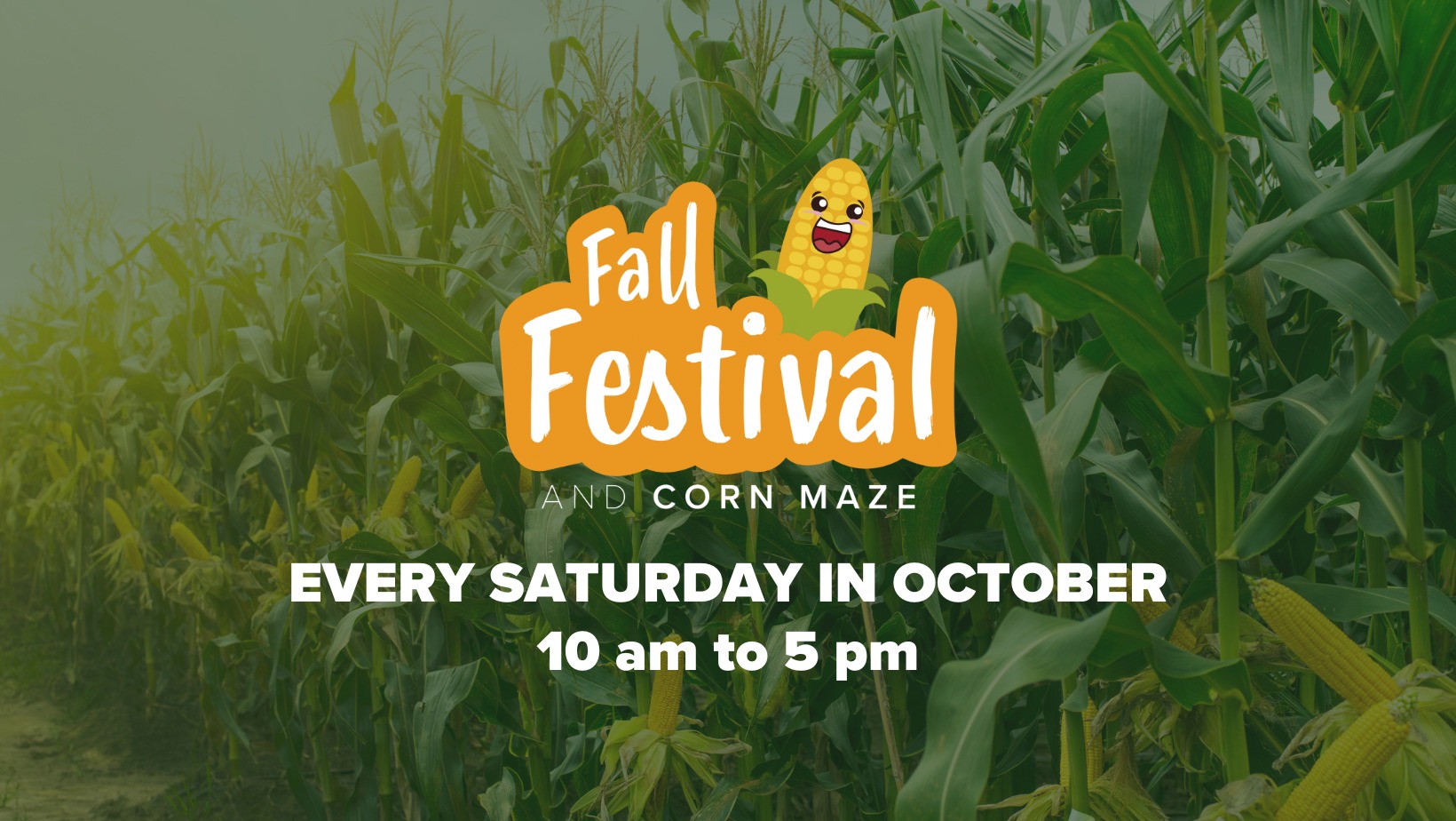 FALL FESTIVAL @