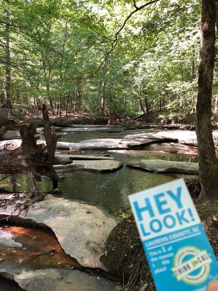 Millers Fork Cleanup with Clinton Canopy